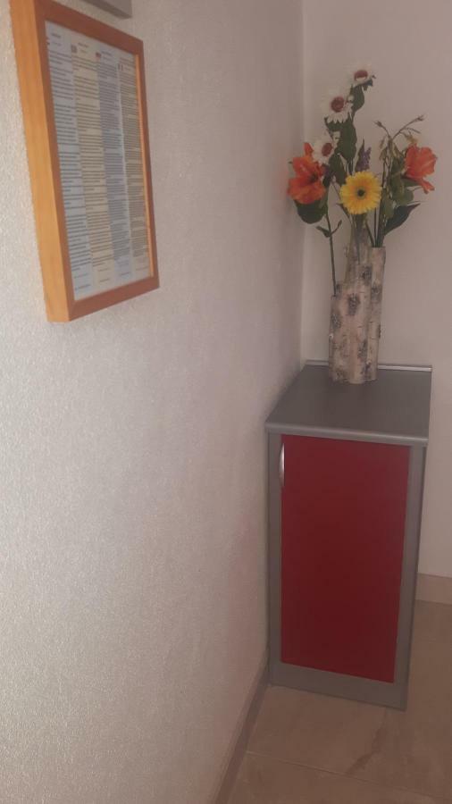 Apartments Babic Novalja Exterior photo